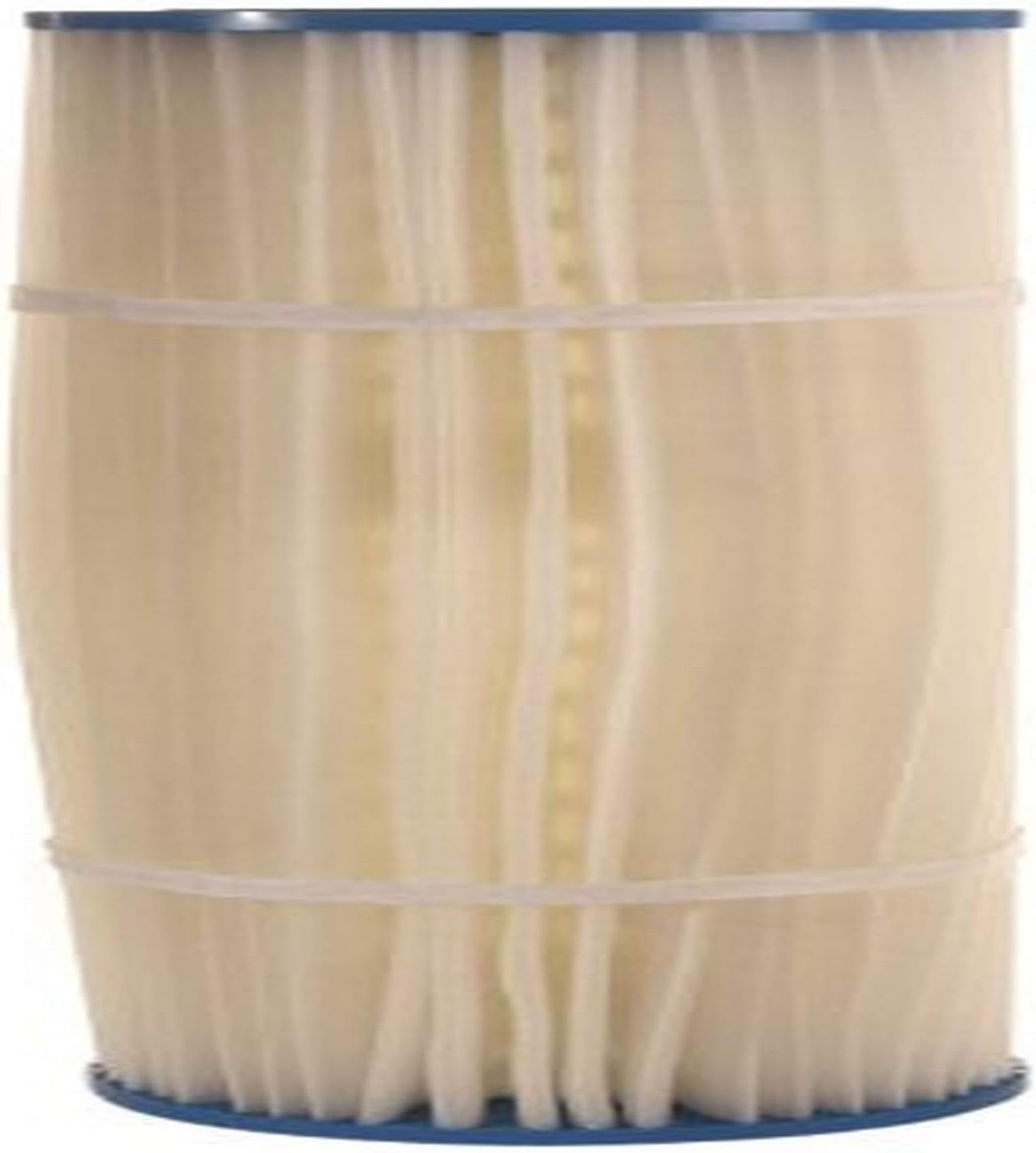 Filbur Manufacturing FC-1963 MeshDE Cartridge Fitler 25 sq ft