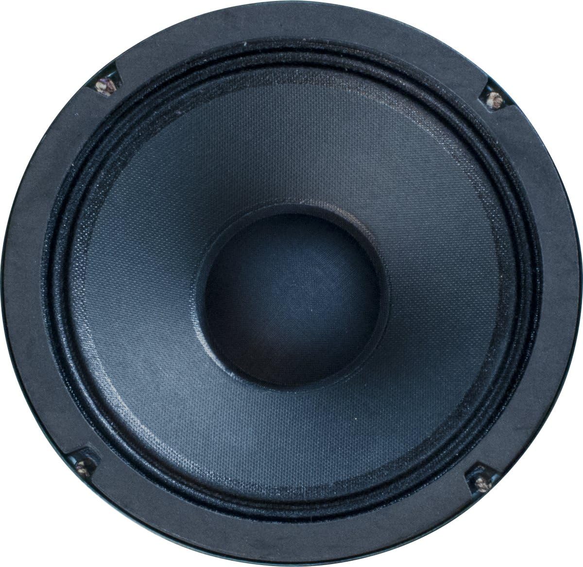 Speaker - Jensen Vintage Alnico, 6