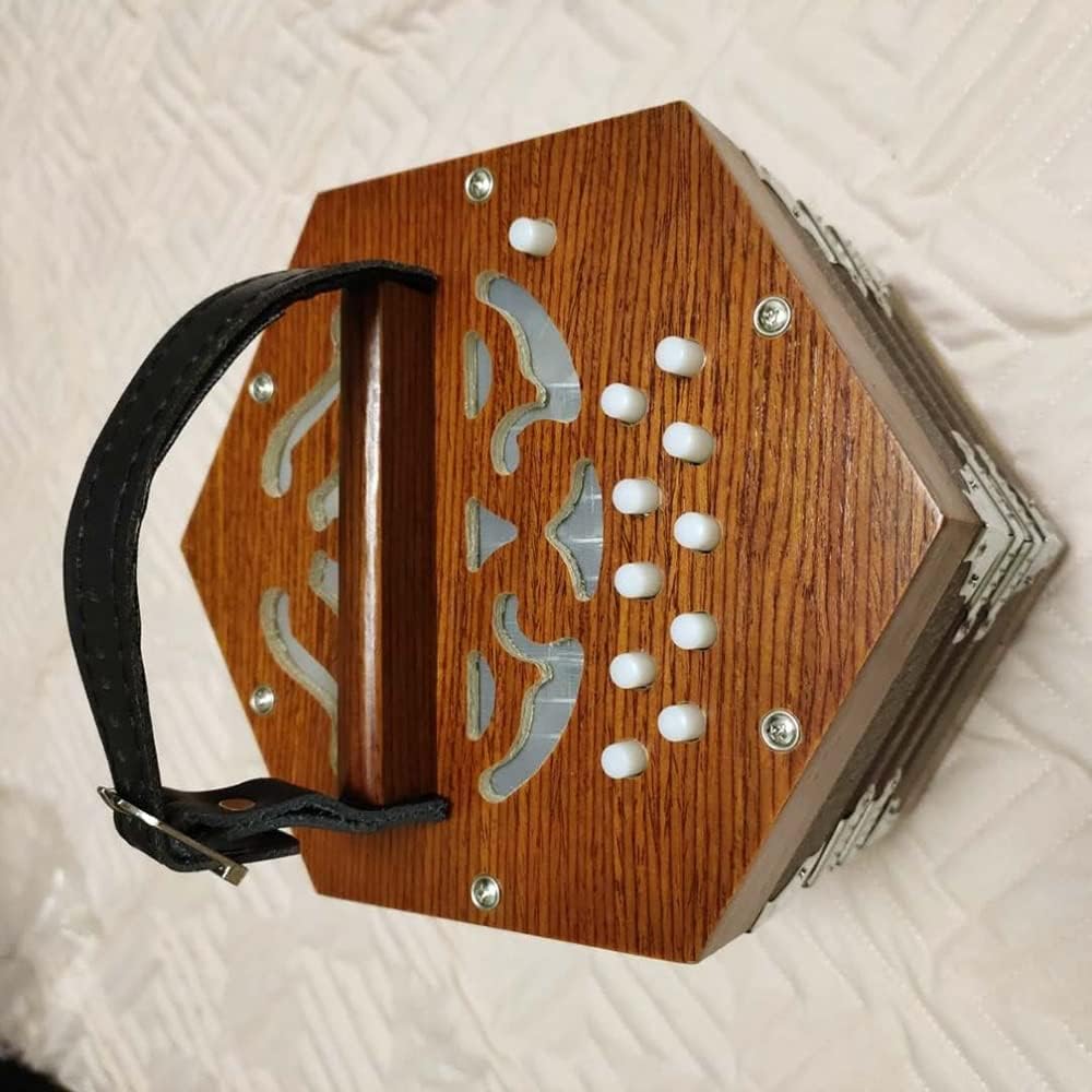 Piano Accordion 20 Key, Professional 20 Buttons Accordion Concertina Musical Instrument, Gift for Children and Friends