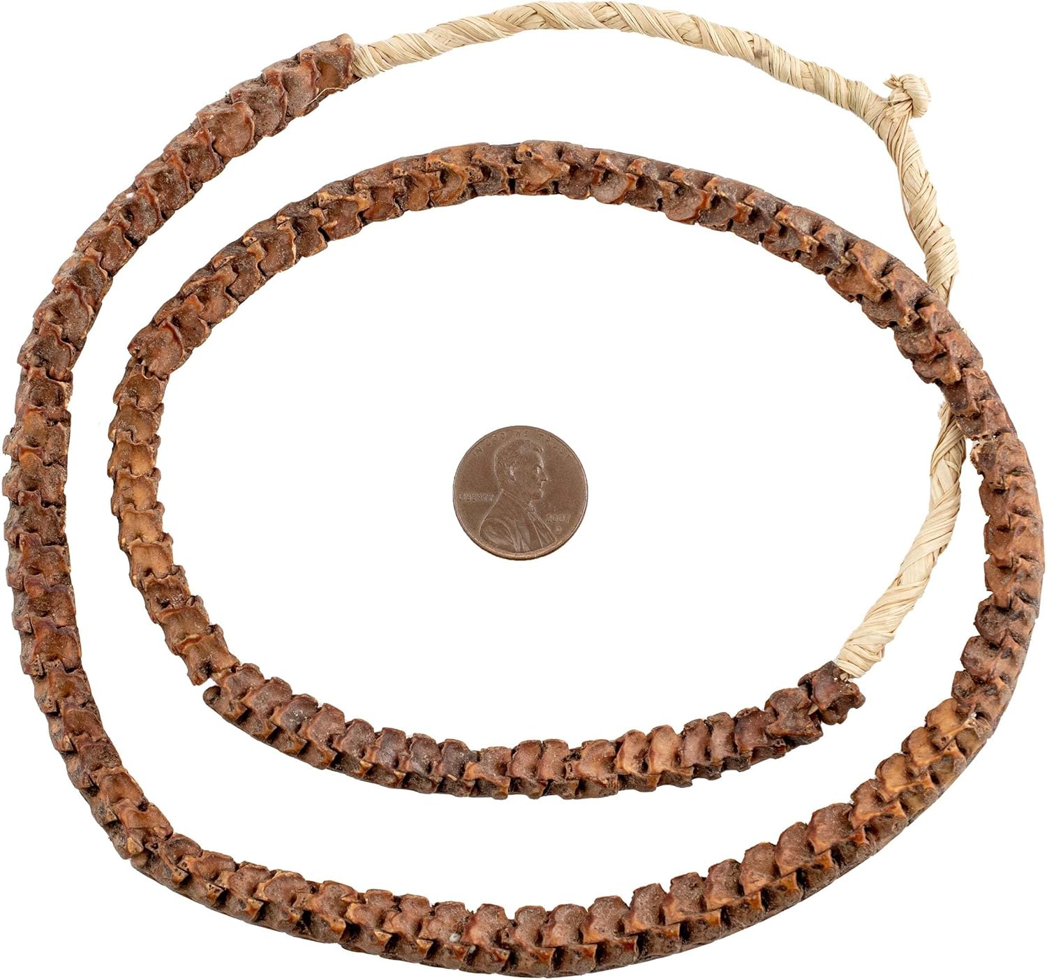The Bead Chest Real Snake Vertebrae Beads from Africa 7mm Nigeria African Brown Interlocking Bone Large Hole 32-34 Inch Strand Handmade