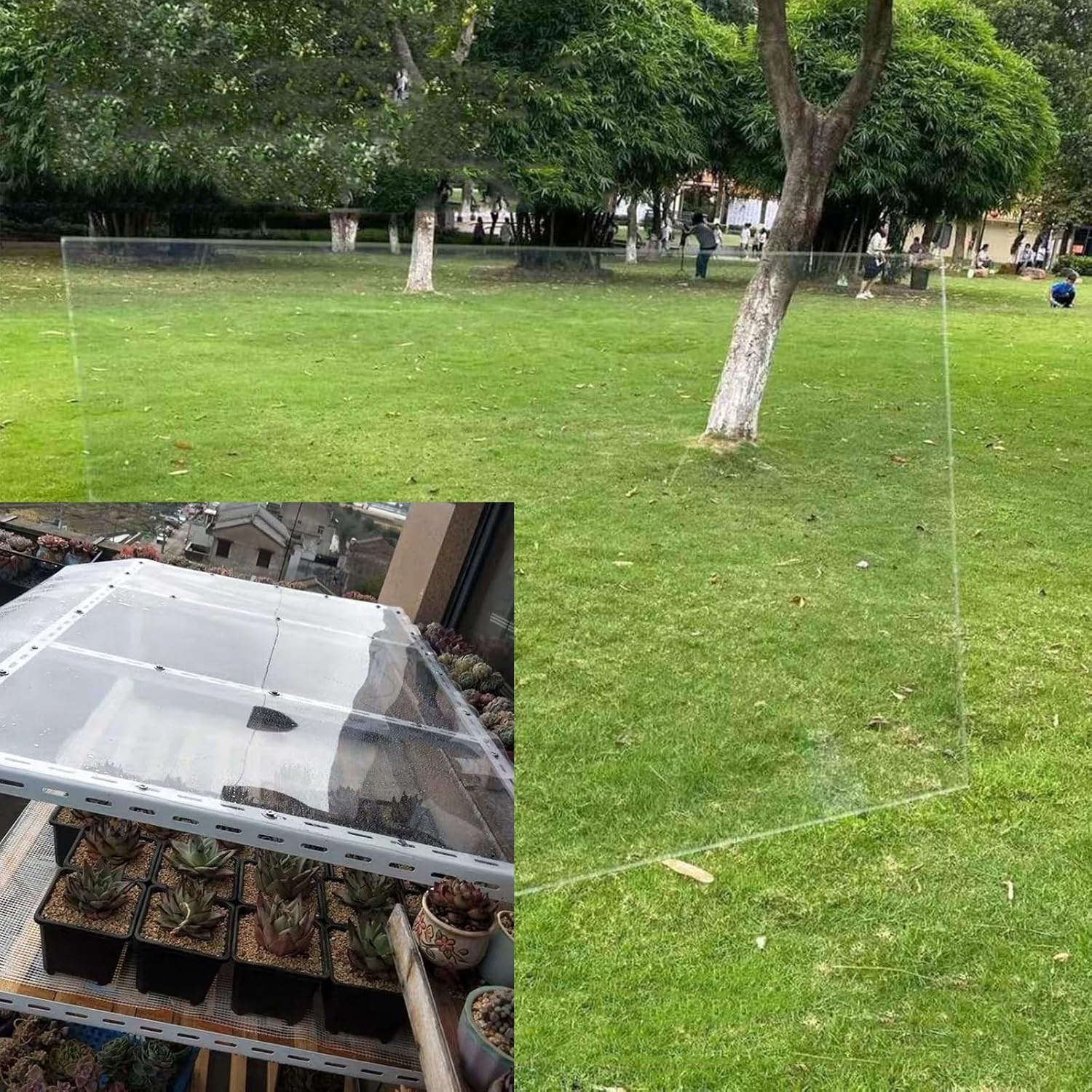 Polycarbonate Greenhouse Panels, Small Botanical Garden Panels, Cultivation Display Frame Panels, Suitable for Agricultural Technology Parks, Indoor Gardens, etc, with a Thickness of 1.5 millimeters.