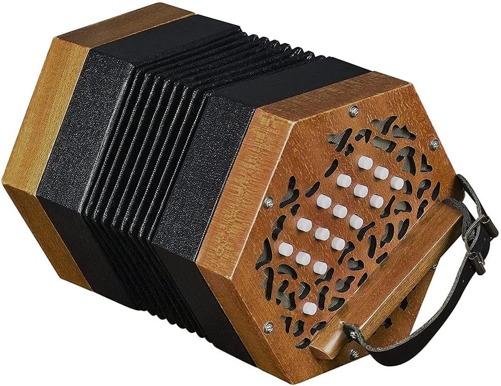 30 Buttons Concertina Accordion, Hand Piano Accordion Music Instrument, Musical Instrument For Adults Beginners, With Carrying Bag, Adjustable Hand Strap