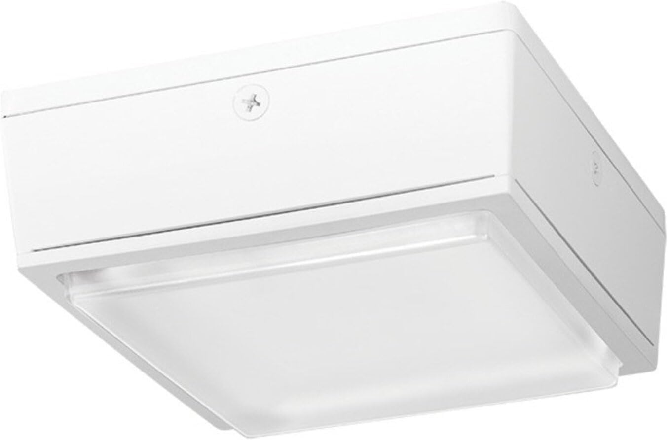 RAB LED Canopy Light w/ Drop Lens - 75 Watts, 5000K, 120-277 Volts (White)