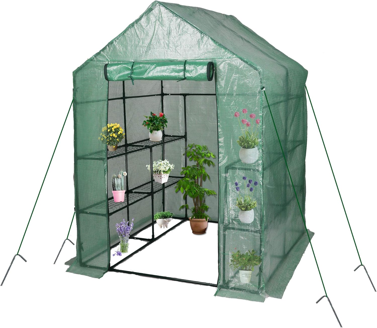 RAPONE Mini Greenhouse Garden Walk-in Green House with PE Cover Indoor and Outdoor Grow Plant Flower