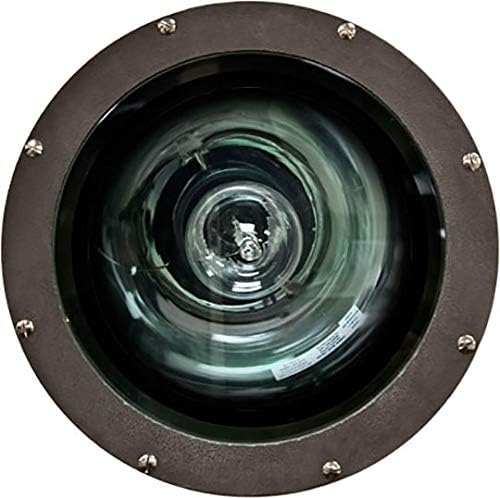 Dabmar Lighting FG4330-MT Fiberglass 150W Hps Multi Tap Light Fixture, Bronze Finish