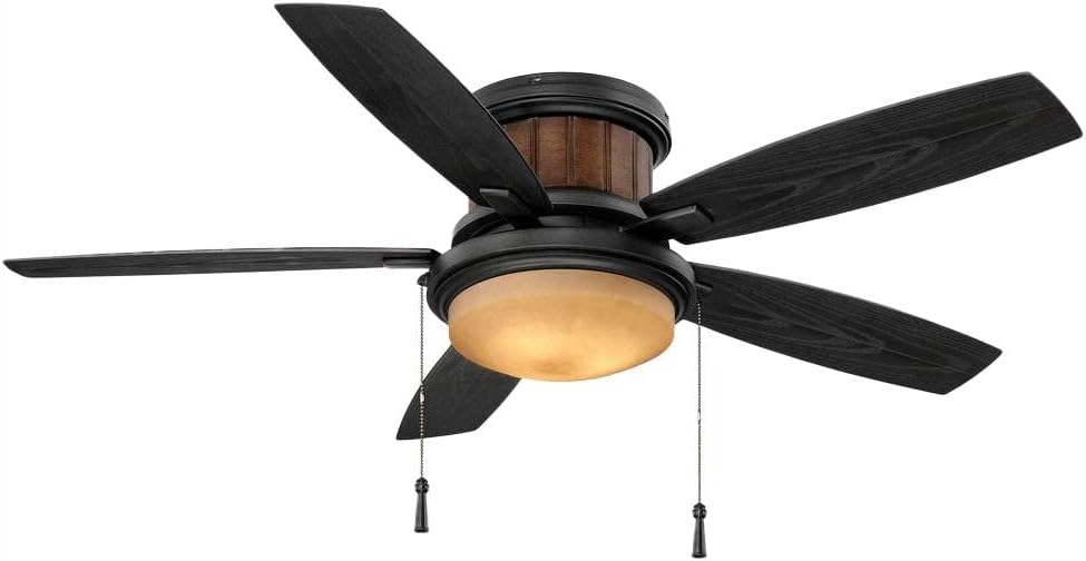 Hampton Bay Roanoke 48 in. LED Indoor/Outdoor Natural Iron Ceiling Fan with Light Kit