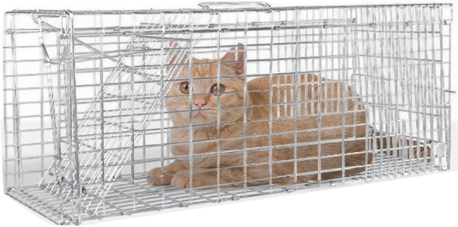 Folding Live Animal Cage Trap Cat, Cat Trap for Stray Cats Squirrel Cage, Humane Catch and Release Rodent for Rabbits, Feral Cats(61 * 18 * 21cm)