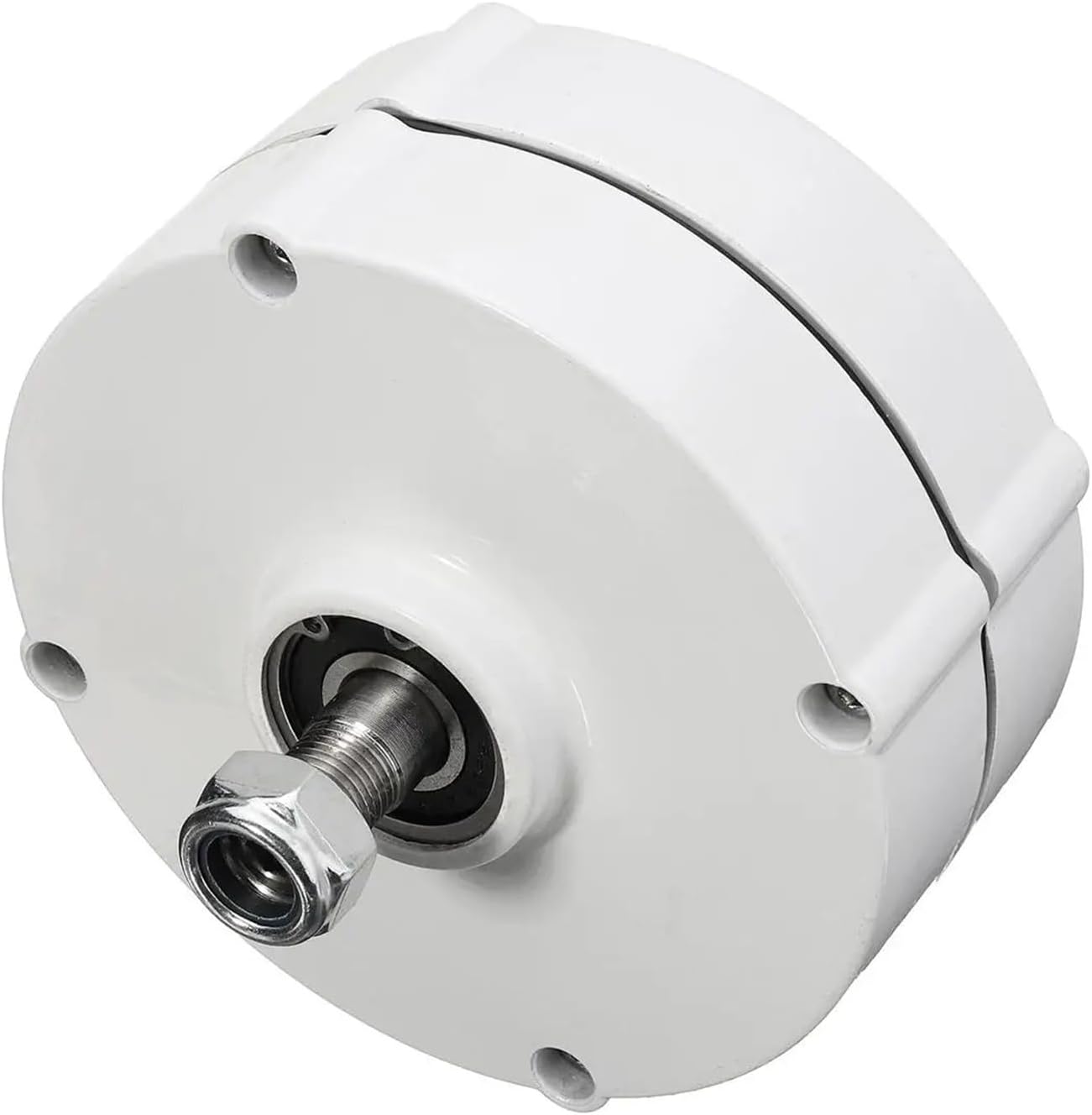 6000W 12V 24V DIY 3 Phase Brushless Electric Wind Power Turbine Generator Permanent Magnet Generator tor Motor Low Starting Speed for Home(24V)