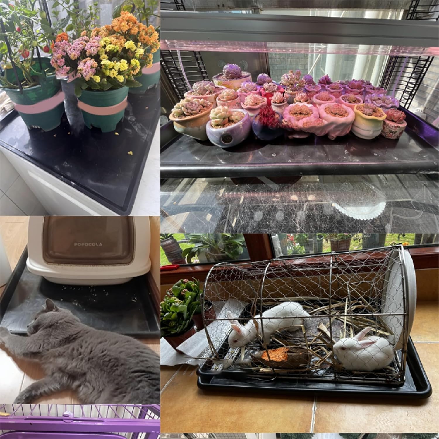 3 Large Plastic Trays Oil Drip Pan for Under Car Non-Slip Bottom Plastic Pan Refrigerator Tray Washing Machine Drip Pan(Blue,43x32x2.7cm/16x12x1in)