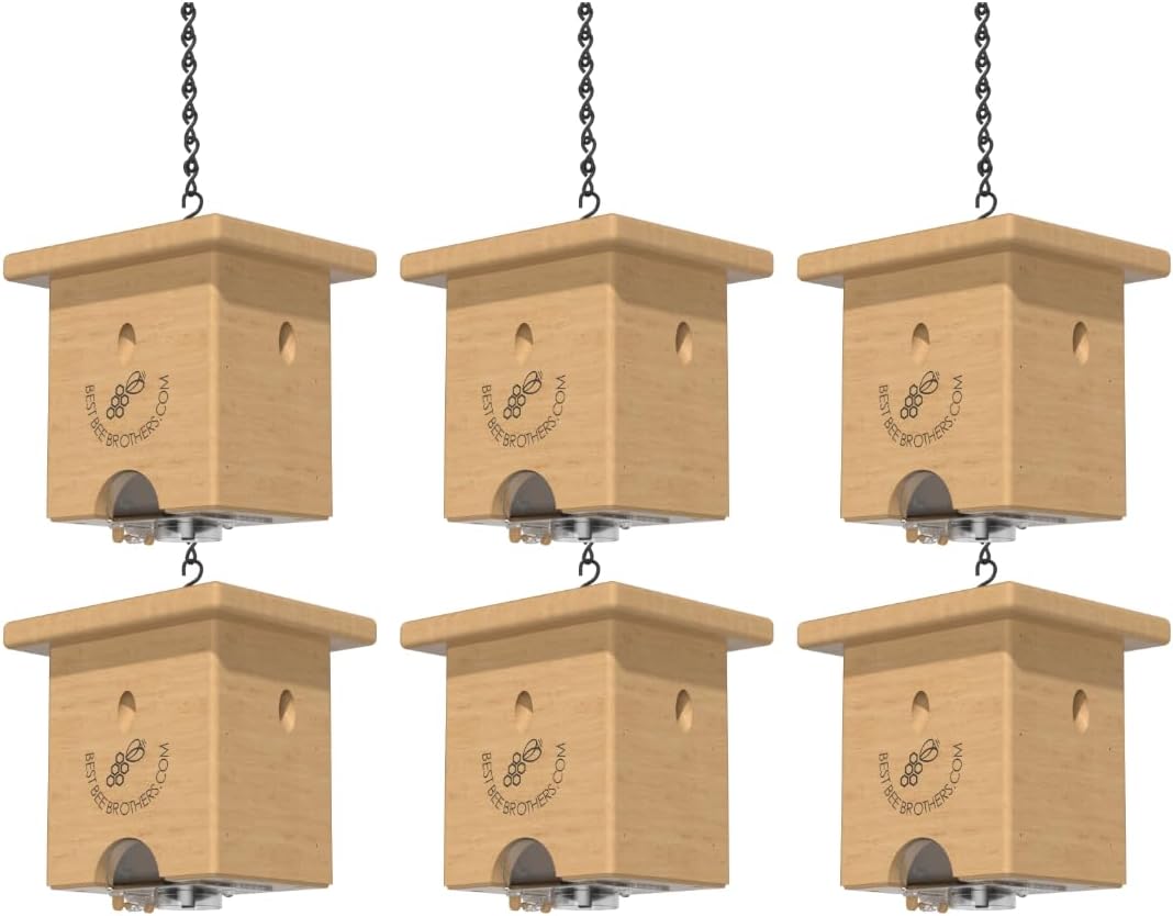 Best Bee Brothers Pine Turbo Trap, Professional-Grade Carpenter Bee Trap for Outside with Bee Vault & Internal Turbo Funnel, 6.3” W x 6” H x 5” D (6 Pack)