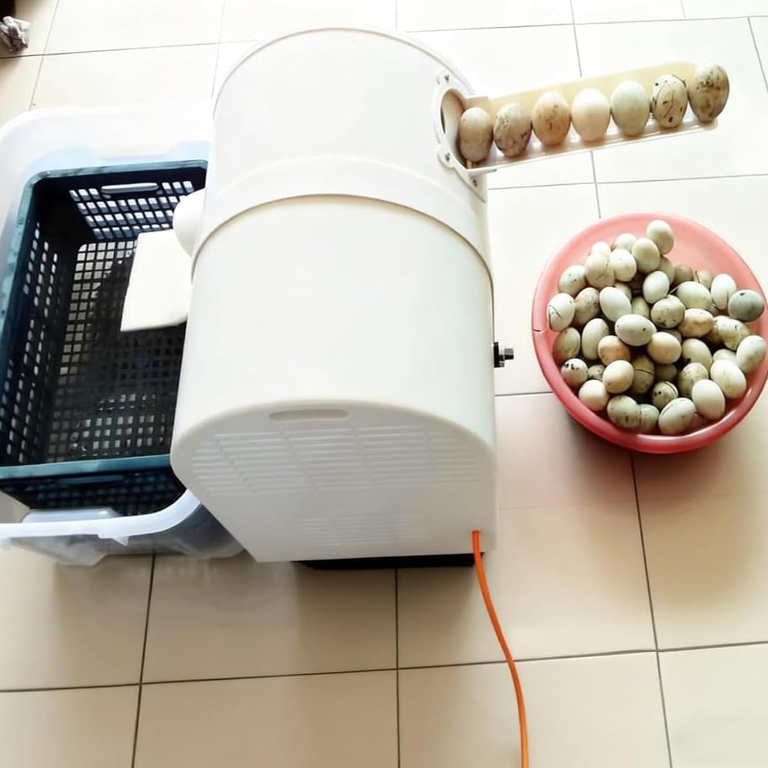 180W Semi-Automatic Egg Cleaning Machine 2000Pcs/H, Electric Egg Washer for Chicken Duck Goose Eggs, Bulk Clean for Farms Schools Restaurants