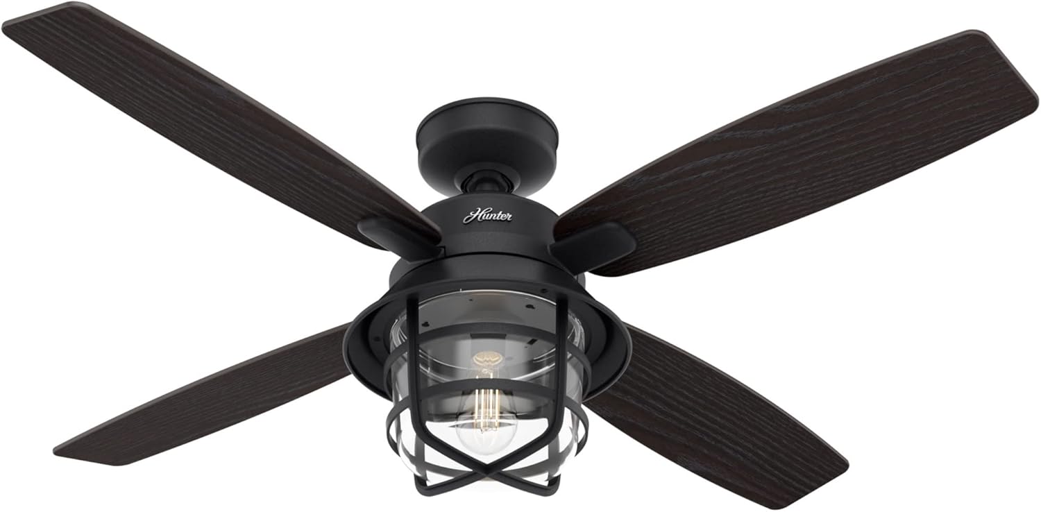 Hunter 52 inch Outdoor or Indoor Ceiling Fan with LED Light and Remote Control - Black Ceiling Fan, Standard Mount, 4 Blades, For Patio, Porch, or Living Room - Port Royale 50391, Natural Black Iron