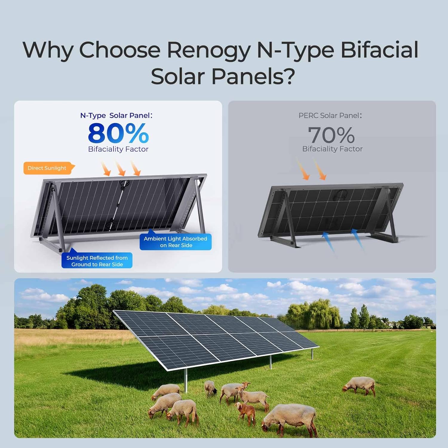 Renogy Solar Panels Bifacial 4Pcs 590 Watt N-Type Monocrystalline 12V 16BB Solar Panel, 25% High Efficiency Solar Module for RV Home Farm Shed Trailer Camper Marine Off-Grid System