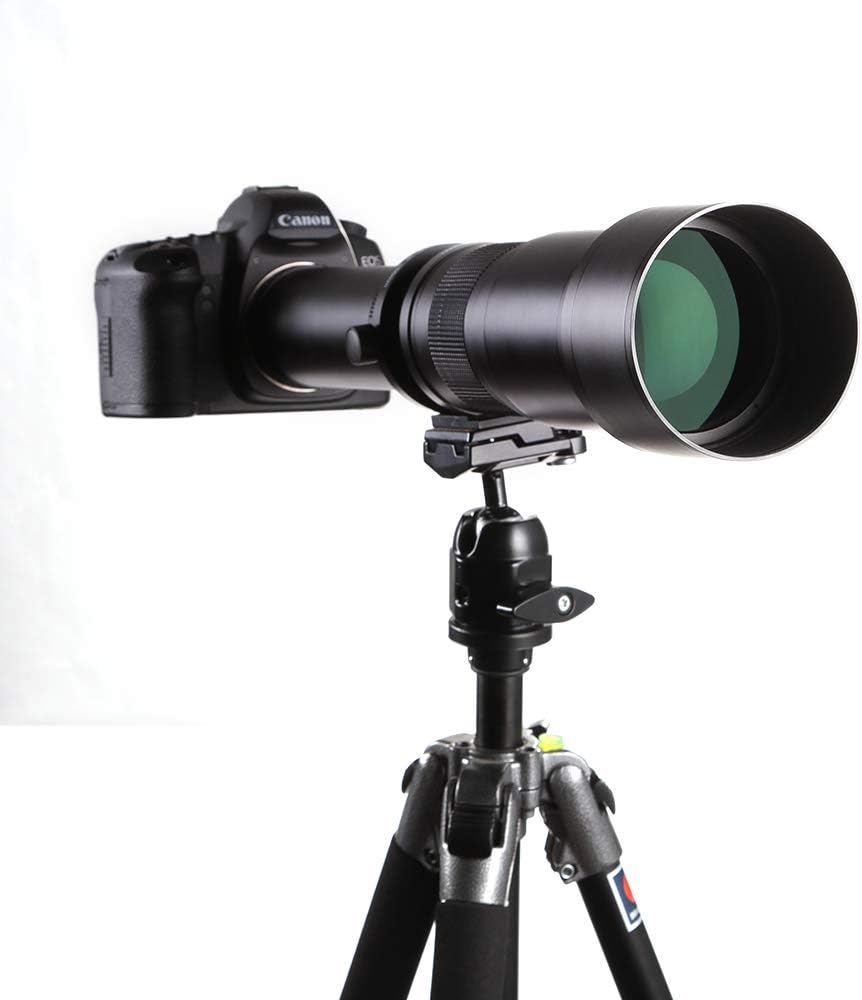 Super 650-1300mm f/8 Manual Telephoto Zoom Lens for Canon EOS EF-S DSLR Cameras with T-Mount + Photo Essential Accessory Kit
