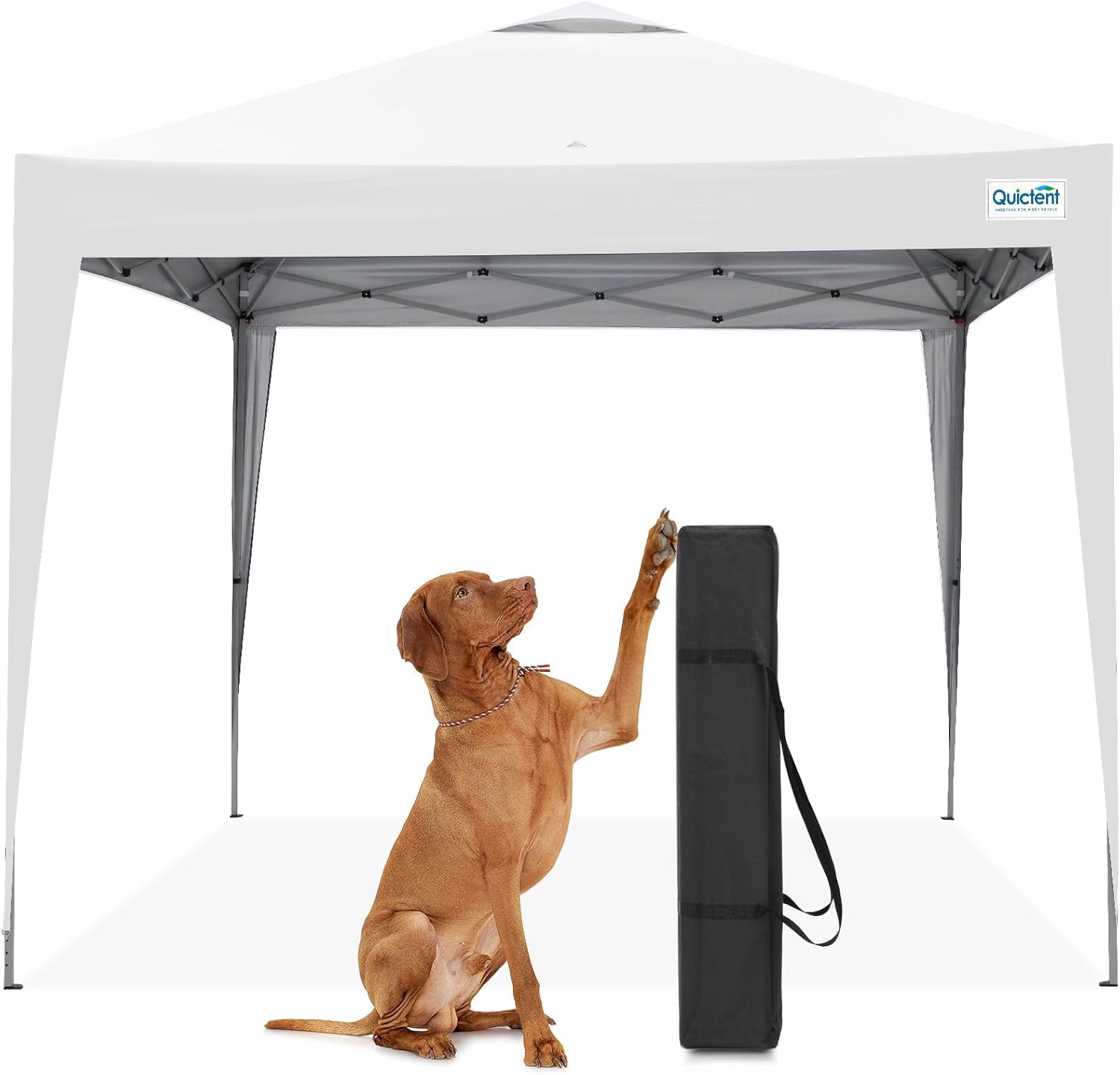 Quictent 10x10 Pop Up Canopy Tent - Instant Setup Gazebo for 1 Person, Portable & Compact, Waterproof & UV Protection, Ideal for Camping, Beach, Parties, and Outdoor Events
