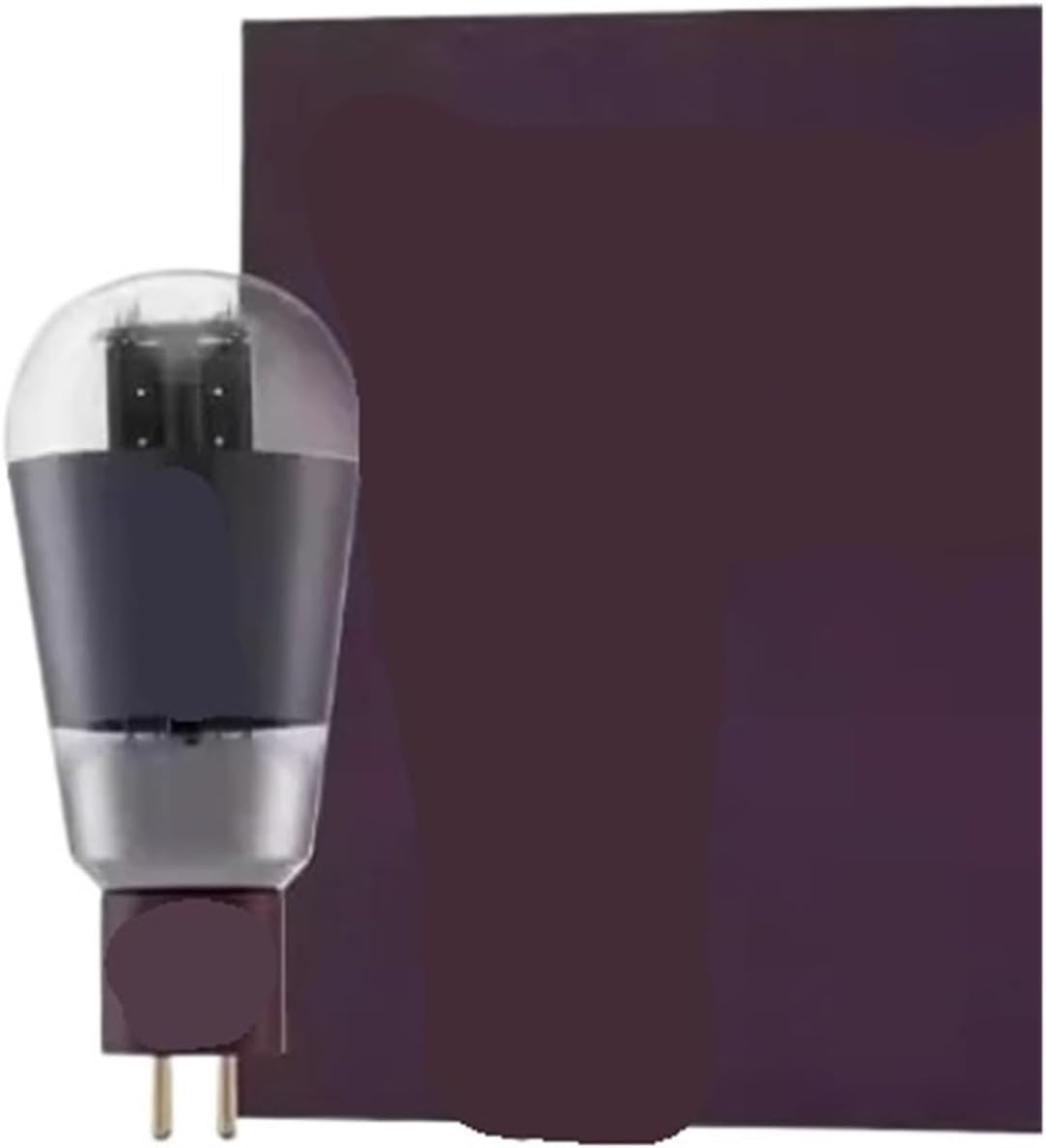 1PCS Amplifier Tube Precise Matching(2A3)