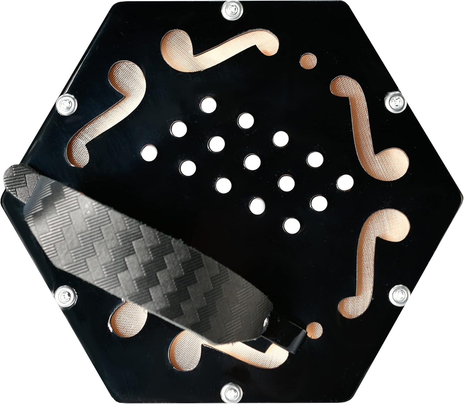 Trinity College AP-1130A Anglo-Style Concertina – 30-Button, Black Finish – Traditional Folk Instrument with 1½ Octave Range, Bellows, and Carrying Bag