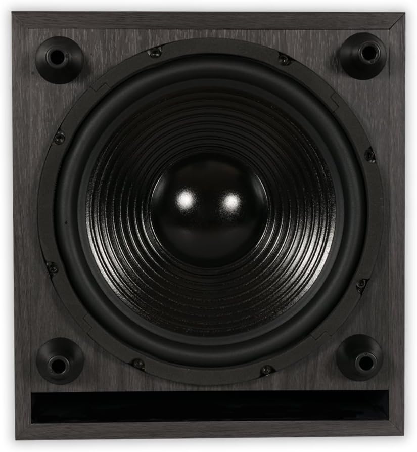 Acoustic Audio PSW-10 400 Watt 10-Inch Down Firing Powered Subwoofer (Black)