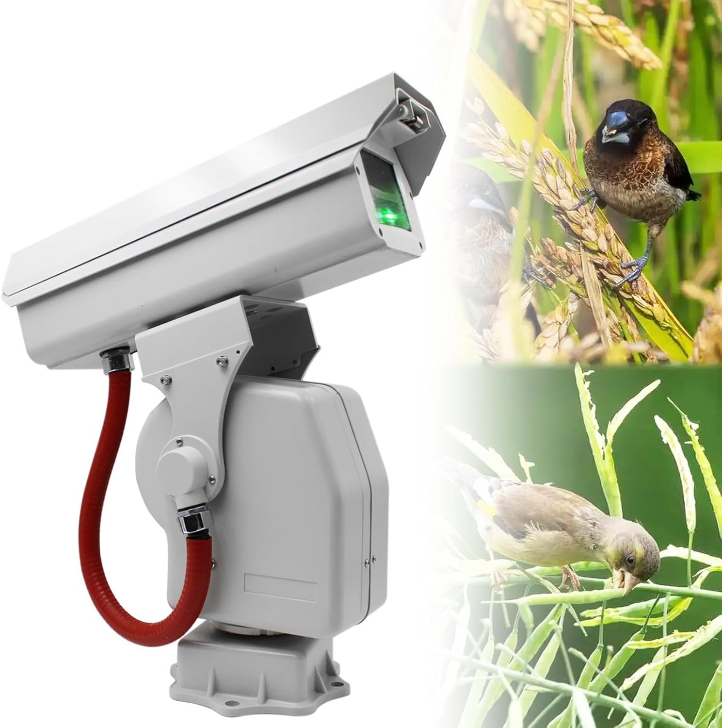 Automatic Bird Repellent Laser Devices, 360° Automatic Cruise Bird Scarer for Substations, Airports, Orchards, APP Remote Control, IP66 Waterproof, Quiet A