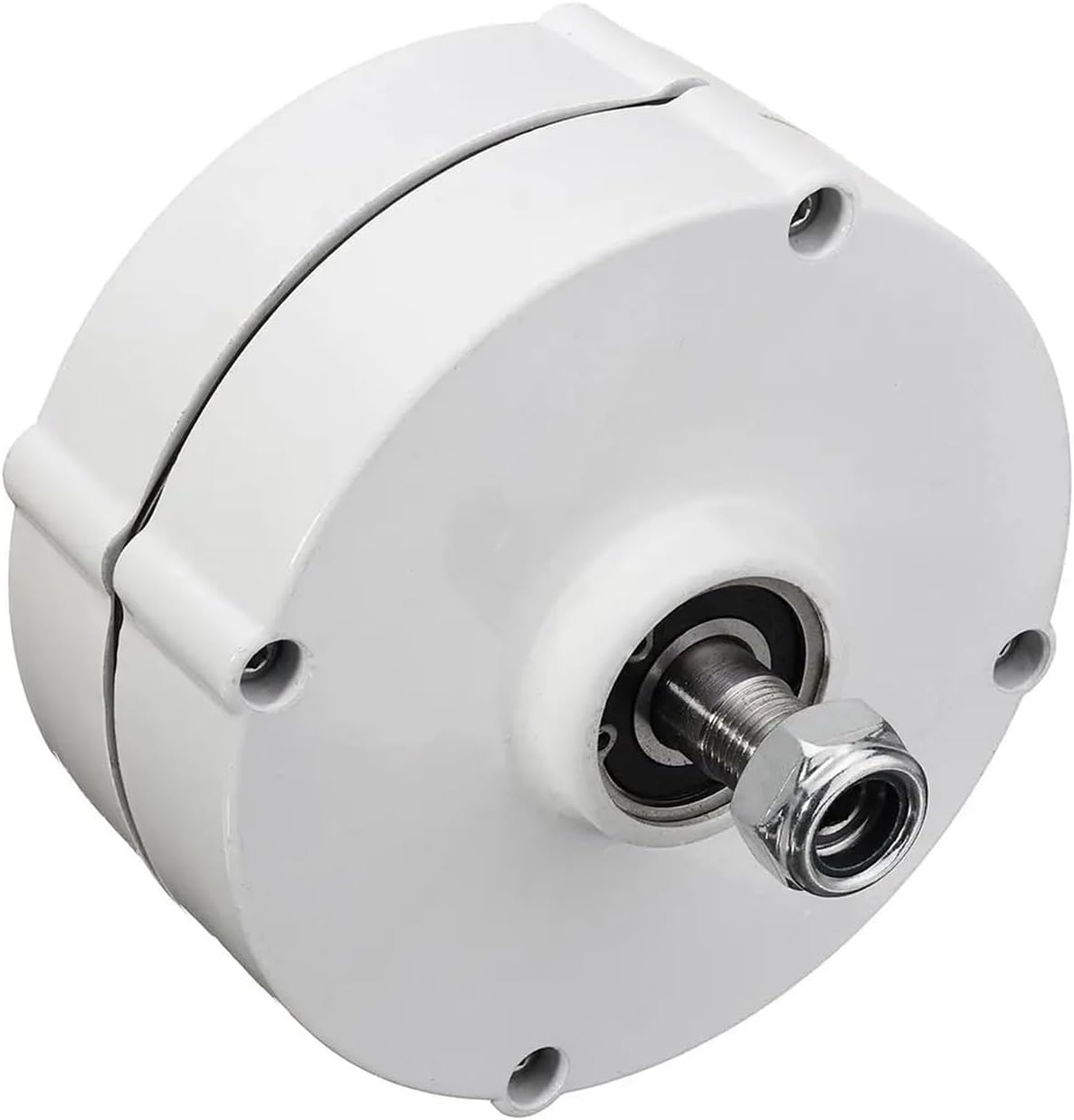 6000W 12V 24V DIY 3 Phase Brushless Electric Wind Power Turbine Generator Permanent Magnet Generator tor Motor Low Starting Speed for Home(24V)