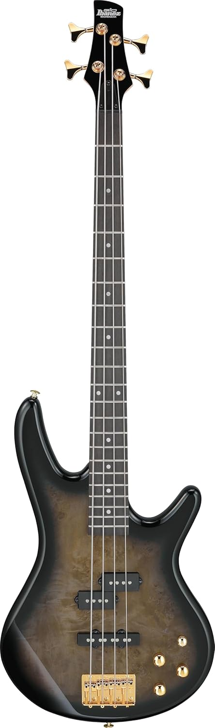 Ibanez Gio GSR200PC 4-String Right-Handed Electric Bass Guitar with Okoume Body, Maple Neck, and Purpleheart Fretboard (Transparent Pale Black Burst)
