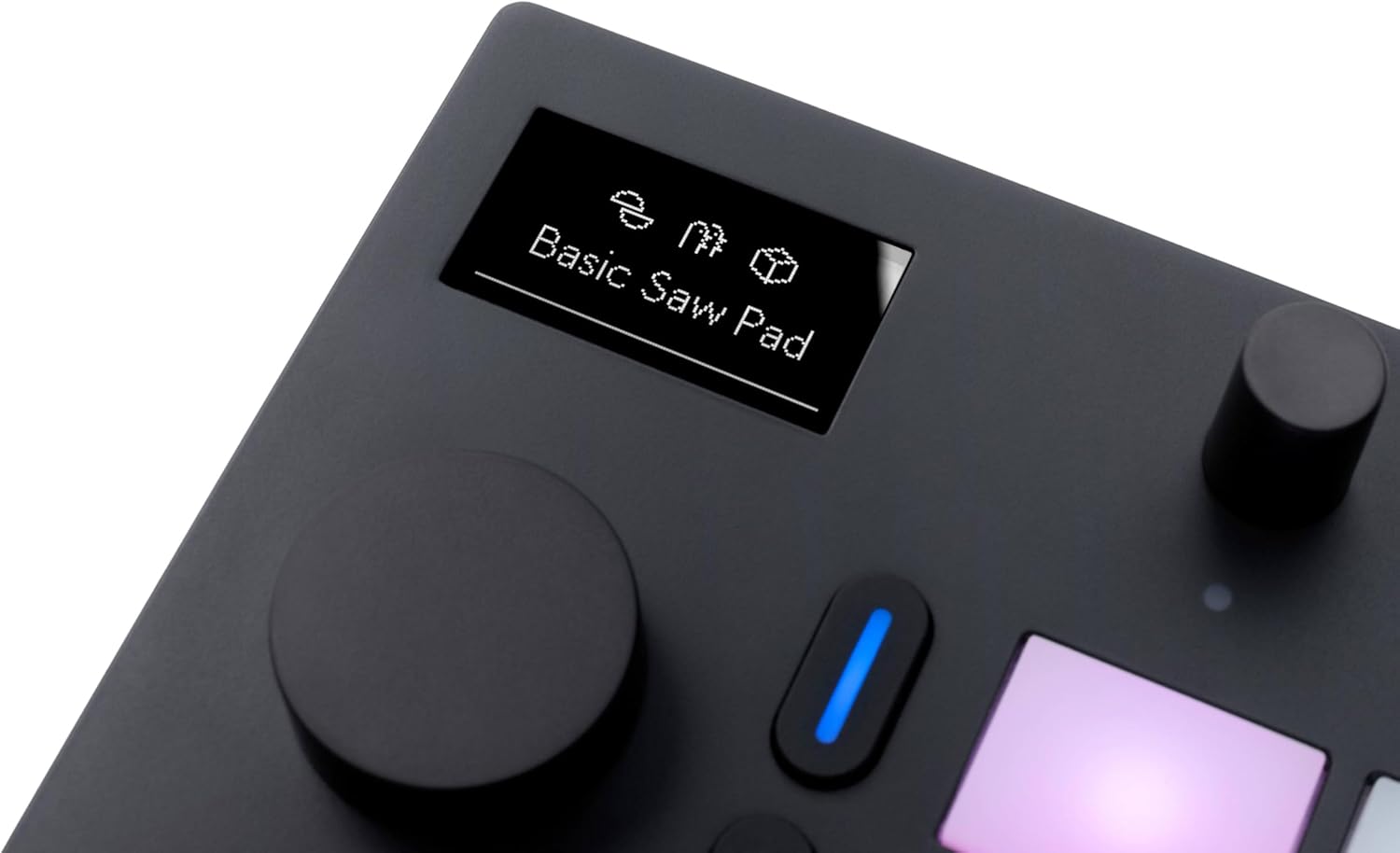 Ableton Move Standalone Instrument with Live 12 Intro (Renewed)