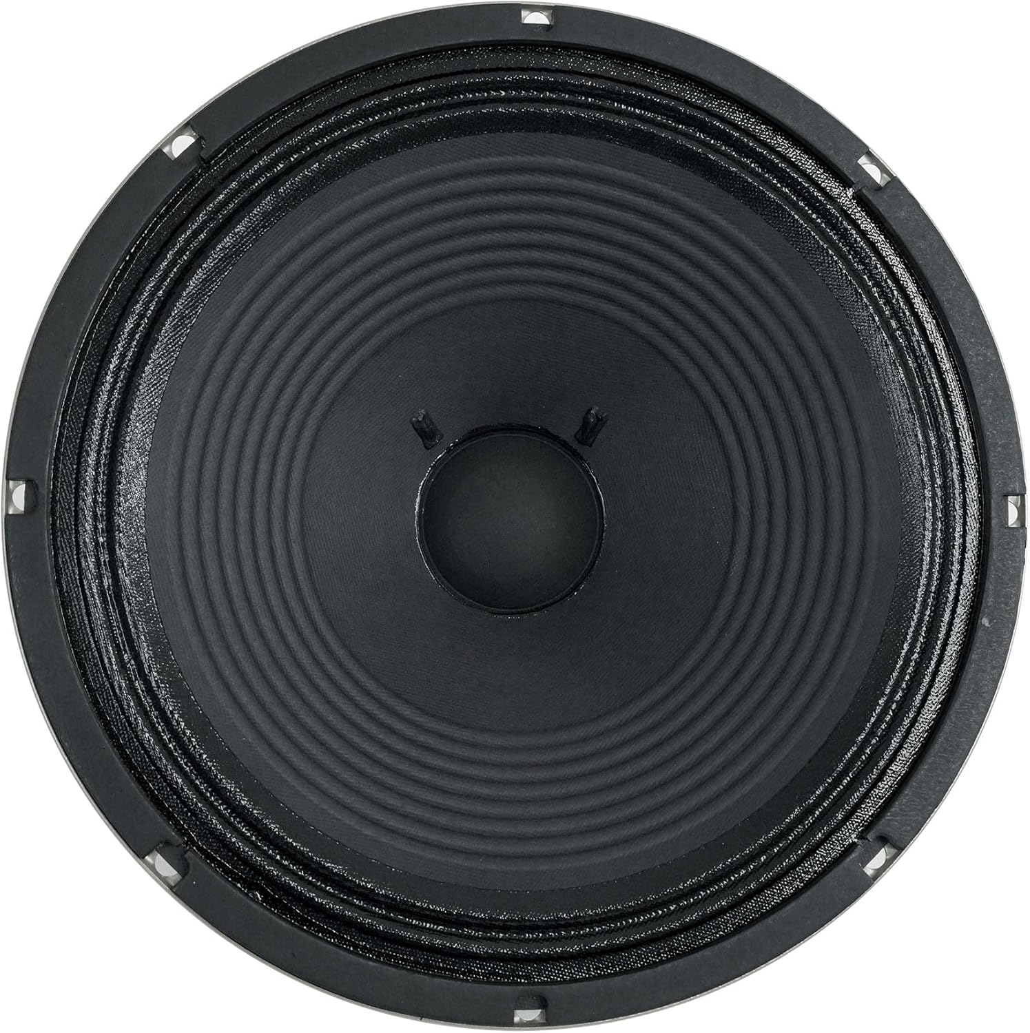 Audiosavings Bundle: (1) Celestion V-Type 12