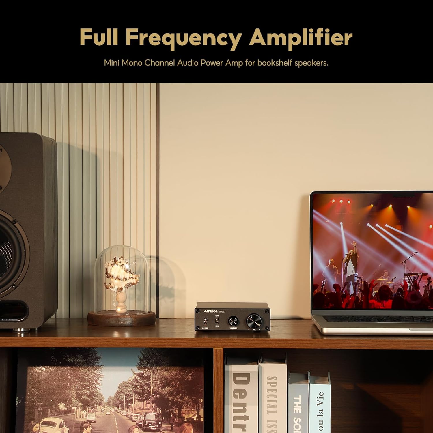 AIYIMA A3001 Mini Mono Amp 300W Subwoofer Amplifier TPA3255 Class D Amp with Full-Frequency & Sub Bass Home Audio Speaker amp+ DC36V 6A Power Adapter