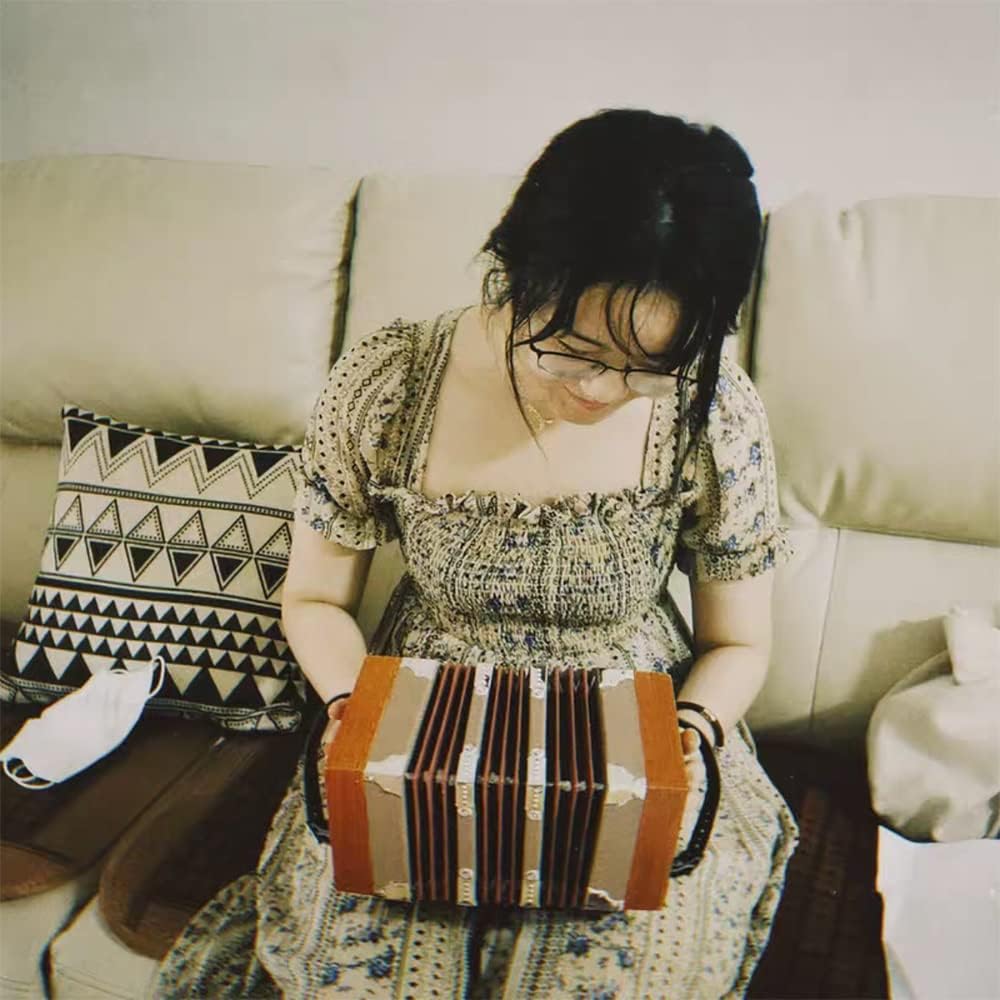 20 Buttons Piano Accordion, Professional Accordion Concertina, Musical Instrument, with Carrying Bag, Excellent Gift for Children Friends
