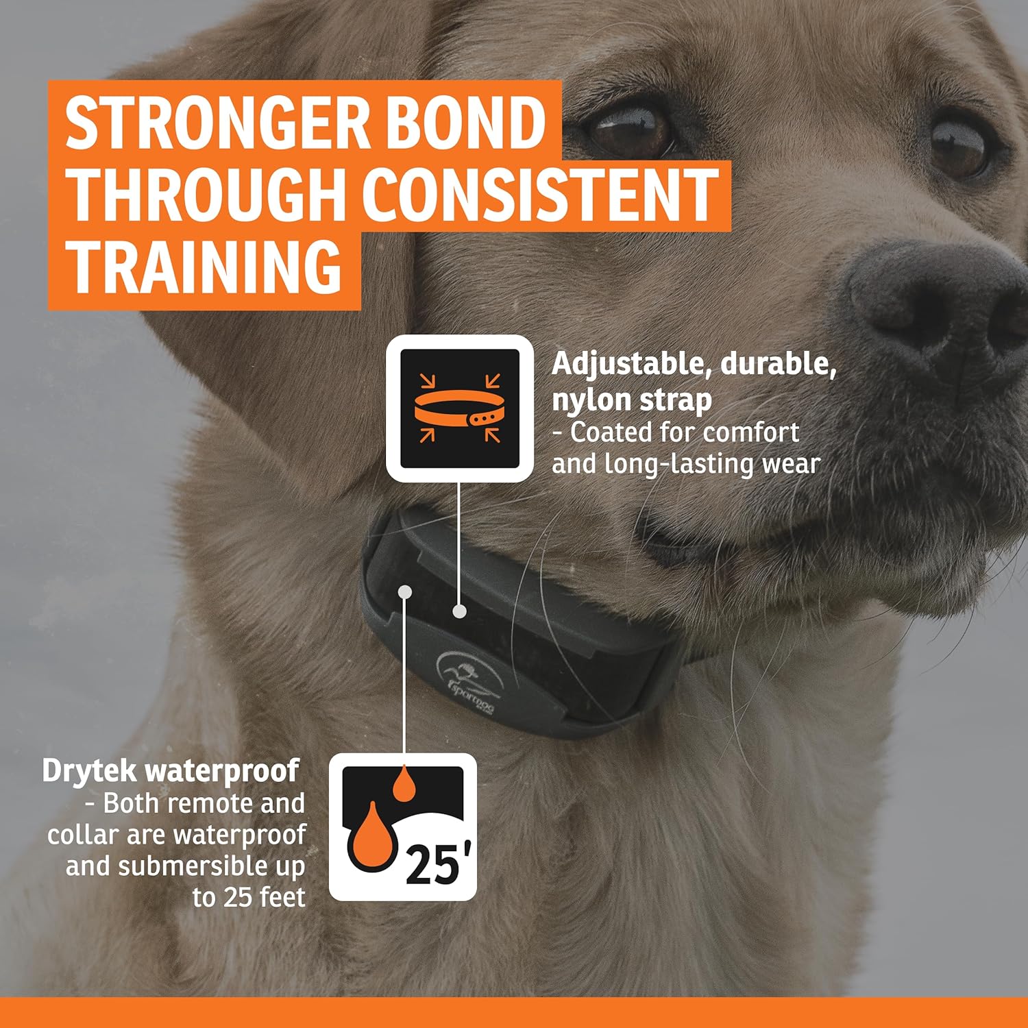 SportDOG FieldTrainer 425X & SportHunter 825X Add-a-Dog Collar - Double Pairing Compatible - Safe Shock E-Collar for Multi-Dog Households - Durable & Waterproof Obedience Training Accessory - Orange