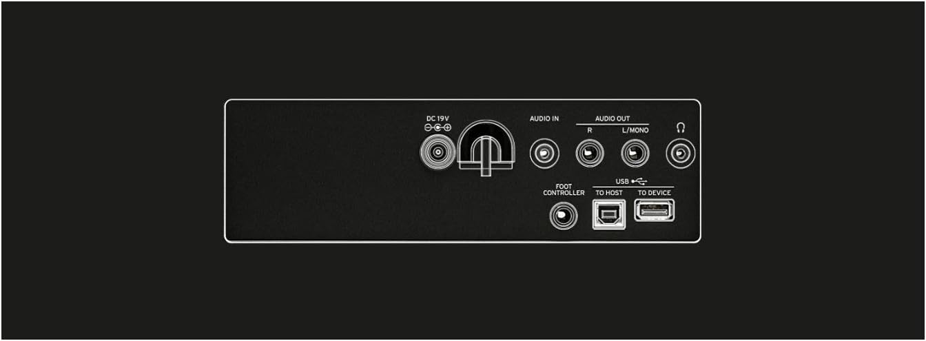 Korg XE20 88-Key Natural-Touch Digital Ensemble Piano Bundle with Keyboard Stand, Piano Bench, and Learning Book/CD (4 Items)