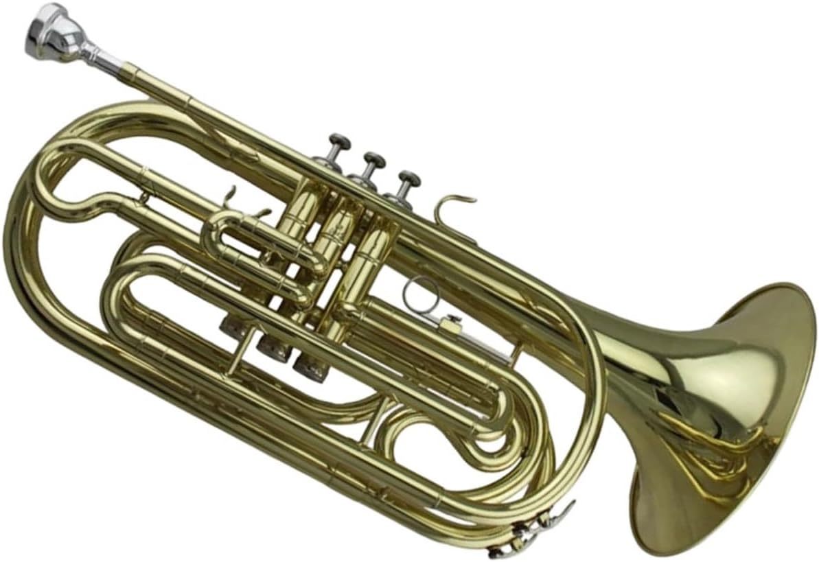 Adult Trombone Instrument Popular Gold Lacquer Professional Beginner Trombone Bb Key