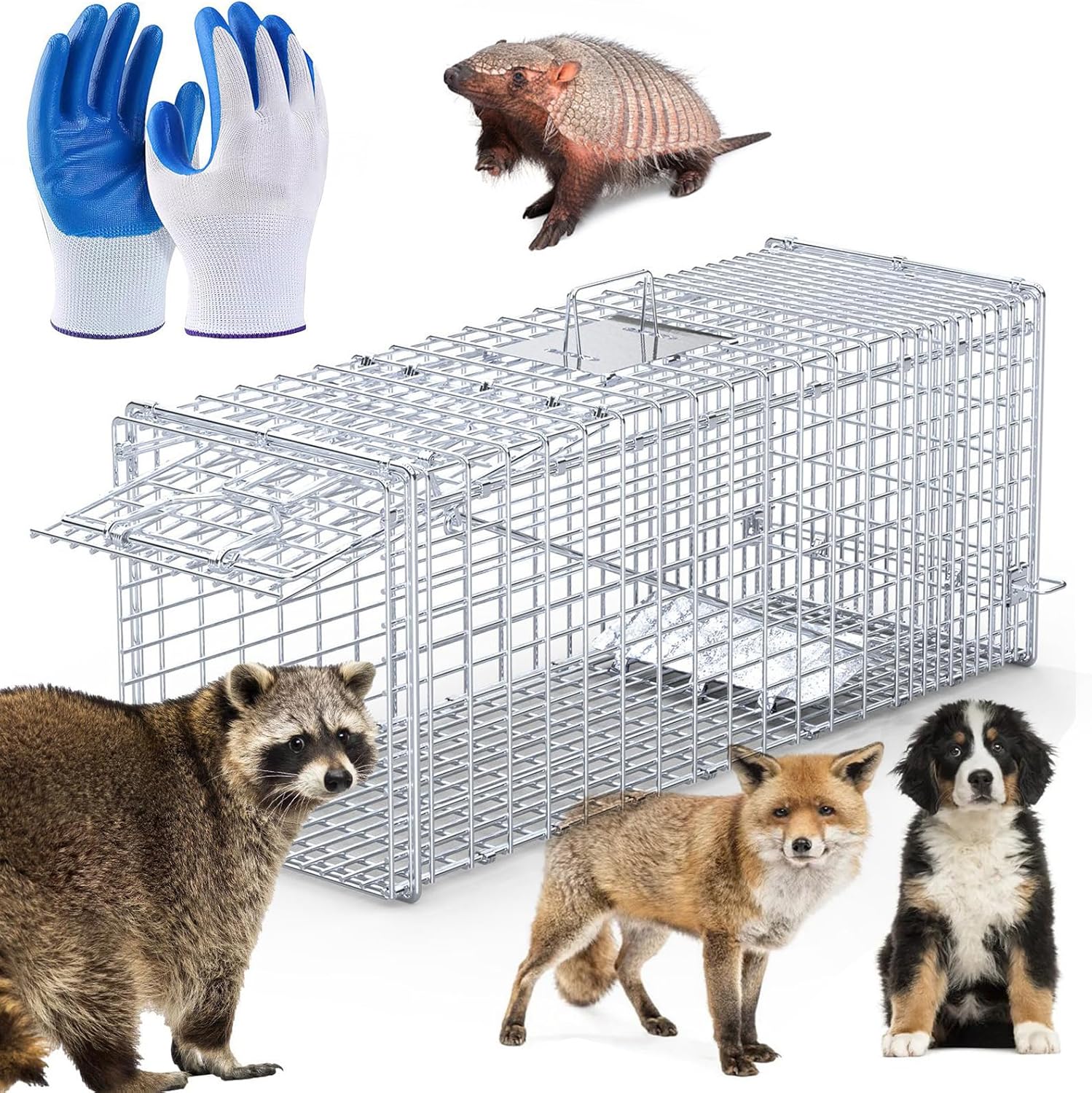 KOCASO Live Animal Trap 37 