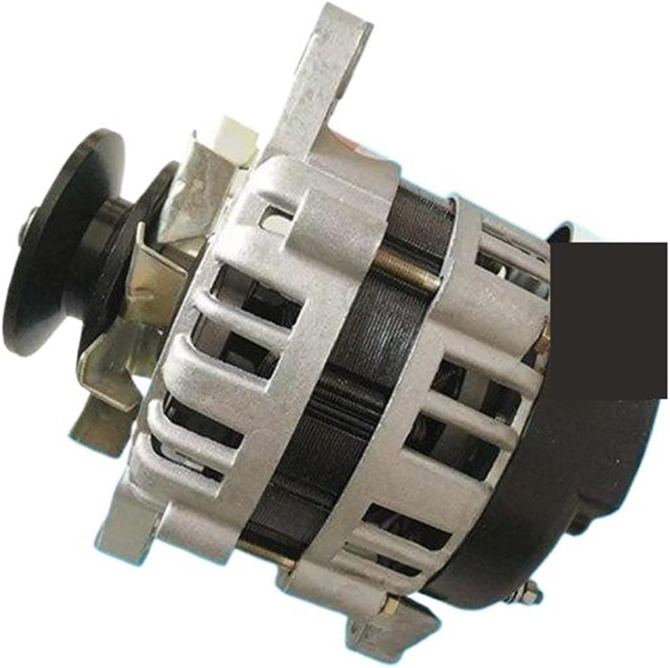 Wind Generator, Permanent Magnet Generator Two Wheel Motor for Charging and Lighting Agricultural Vehicles,Wind Turbines(800w)