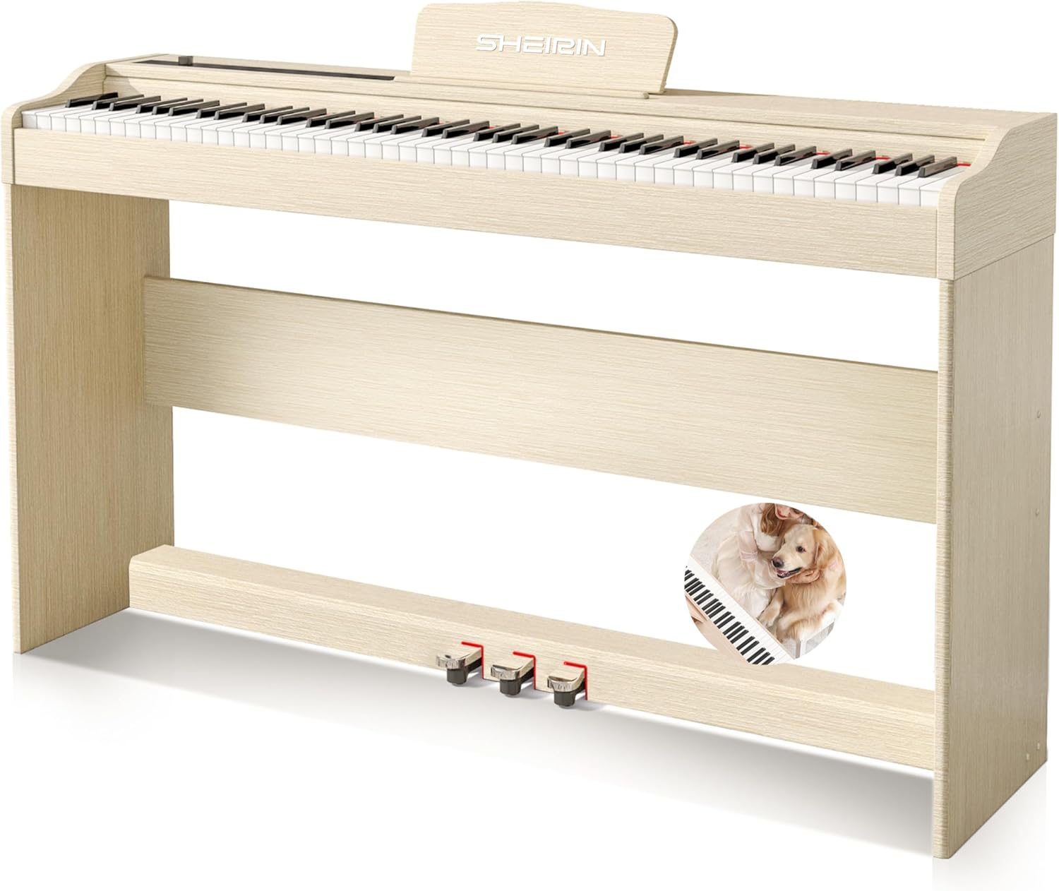 Digital Piano Fully Weighted Keyboard 88 Keys Upright Acoustic Hammer Action Electric Stand Pedal Beginners Instrument SR-EH80