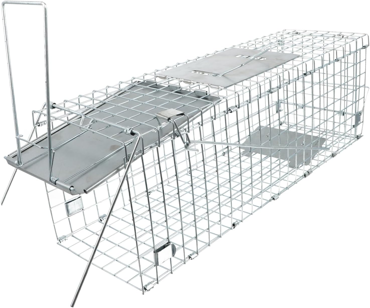 Balacoo Humane Folding Cage for Raccoons Cats Coyote Kitten Enclosure Hunting Supplies