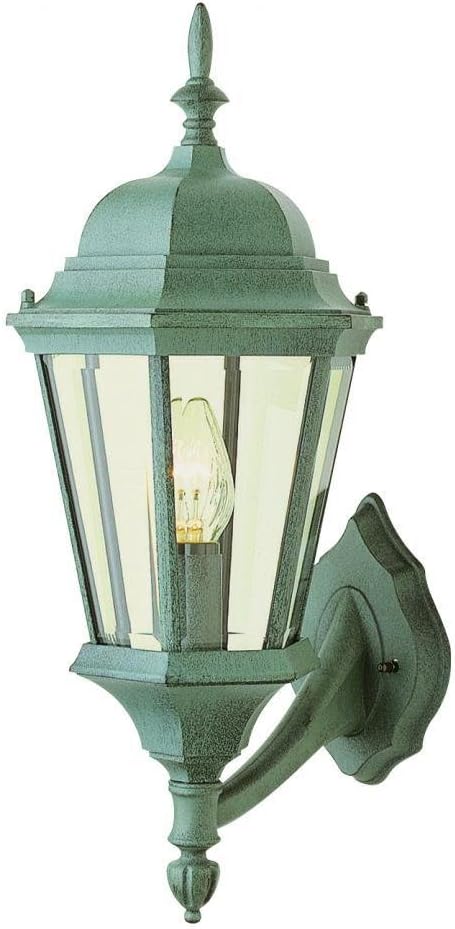 Trans Globe Lighting 4250 BK Outdoor San Rafael 23