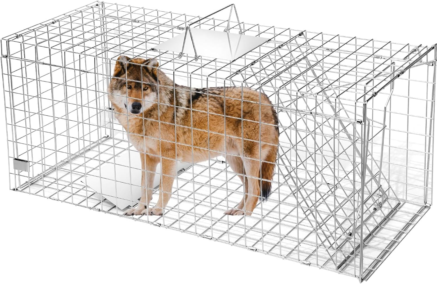 Qualirey Large Live Catch Animal Traps 42'' Easy to Use and Release Live Animal Trap Collapsible for Large Dogs, Coyotes