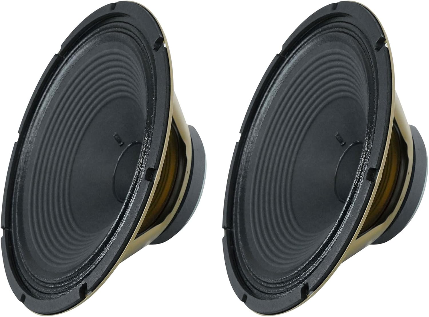 Audiosavings Bundle: (2) Celestion V-Type 12