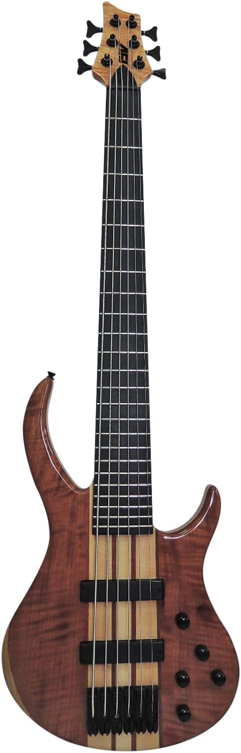 IYV IBSY-600 Neck-through Sycamore top Multi-ply 6-string Bass