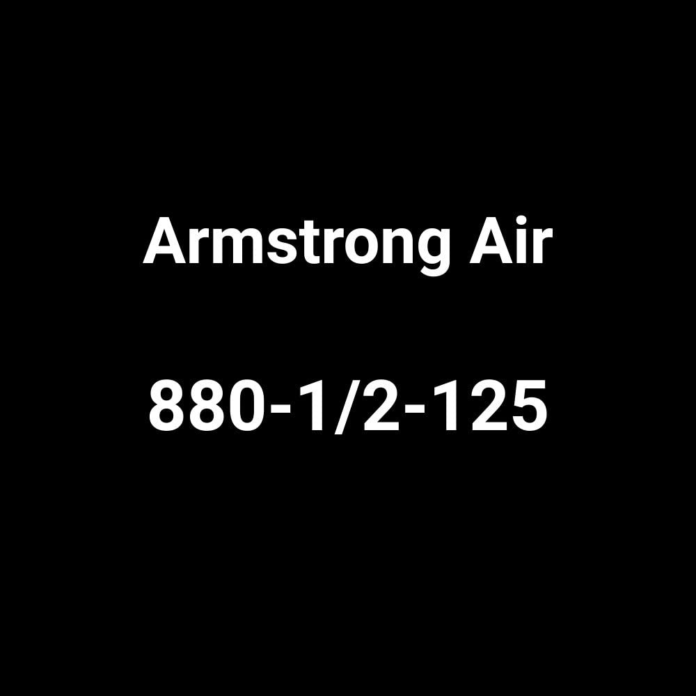 Armstrong International 880-1/2-125 Armstrong Trap 1/2