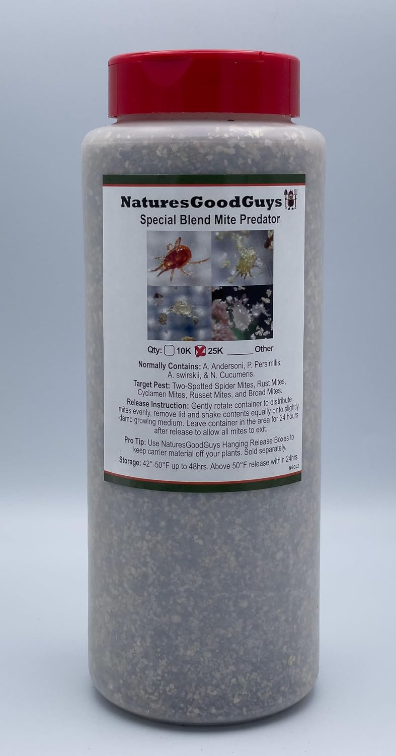 Special Blend Predatory Mite (Size: 25,000)