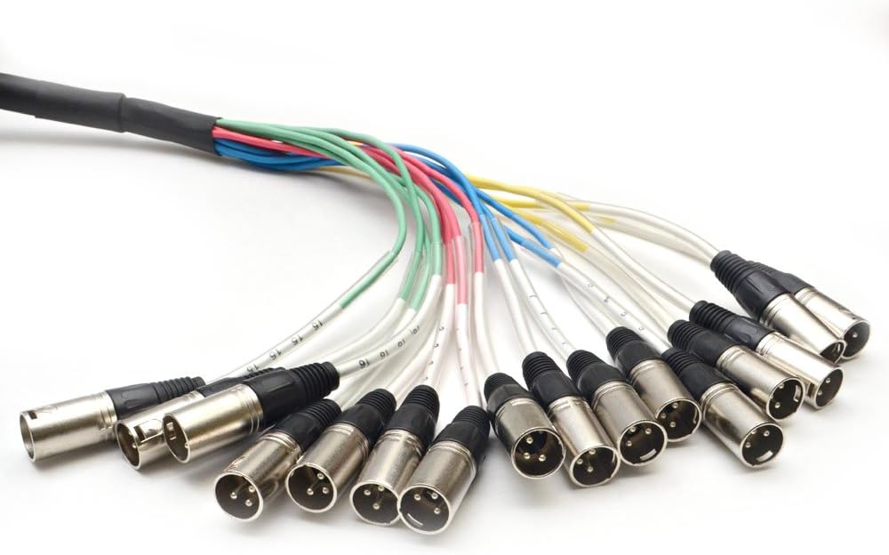 Seismic Audio - 16 Channel XLR Snake Cable - 10 Feet Long - Pro Audio Snake for Live Live, Recording, Studios, and Gigs - Patch, Amp, Mixer, Audio Interface 10'