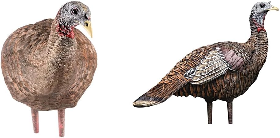 Avian-X LCD Breeder & Lookout Hen Turkey Decoys | Realistic Lifelike Collapsible Hunting Decoys with Carry Bags & Stakes, AVX8008 & AVX8006