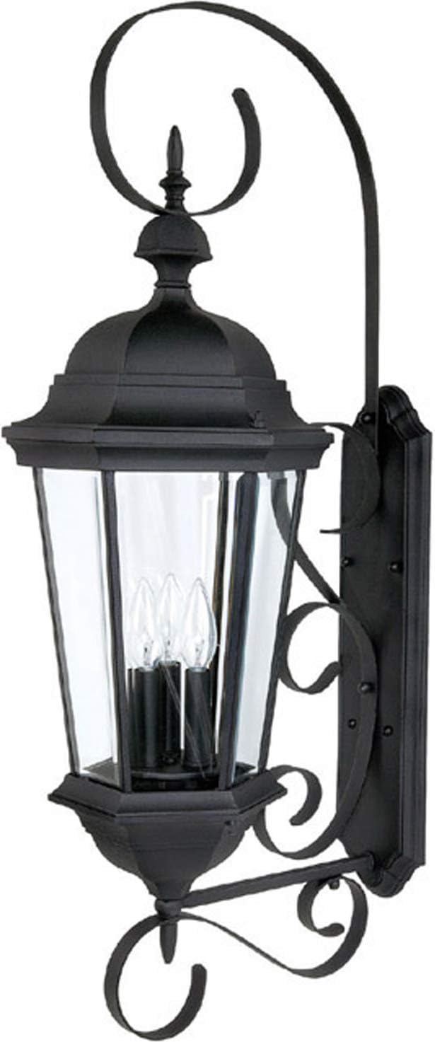 Capital Lighting 9723BK Carriage House Clear Glass Outdoor Wall Lantern, 36