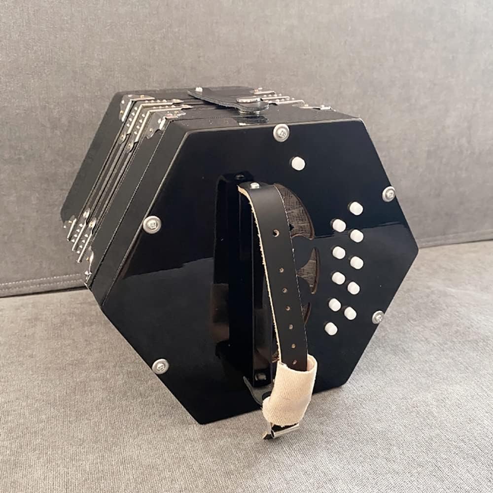 20 Buttons Concertina, Easy To Learn Music Accordion Instrument, Professional Accordion Piano Musical Instrument, For Children Friends