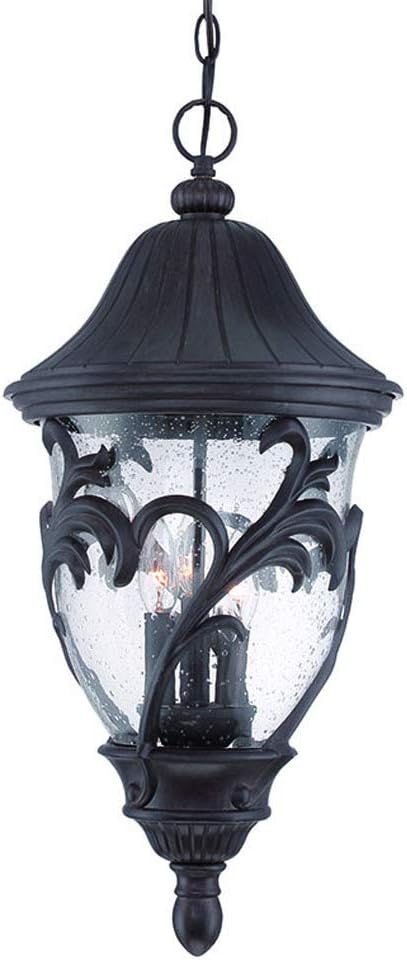 Acclaim 39226BC Capri Collection 3-Light Outdoor Light Fixture Hanging Lantern, Black Coral