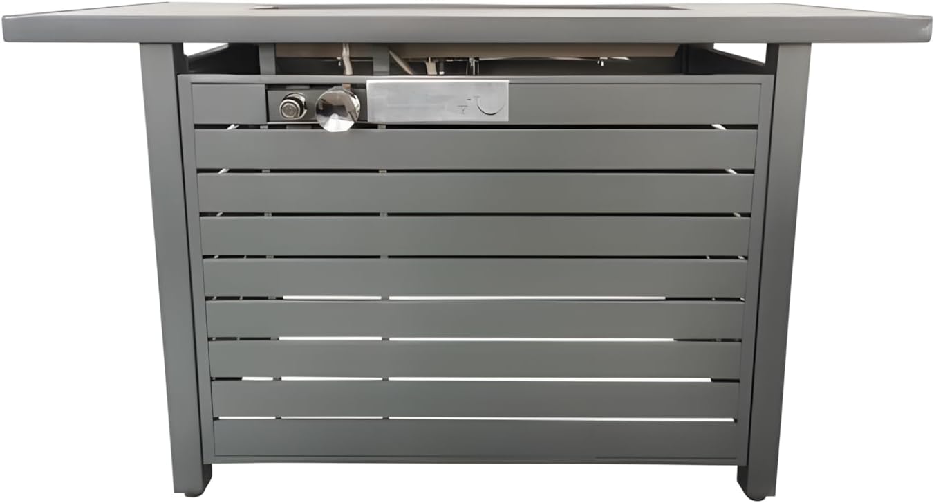 Penau 25 H x 42 W Outdoor Fire Pit Table with Lid - Stainless Steel, Propane & Natural Gas Options, Gray