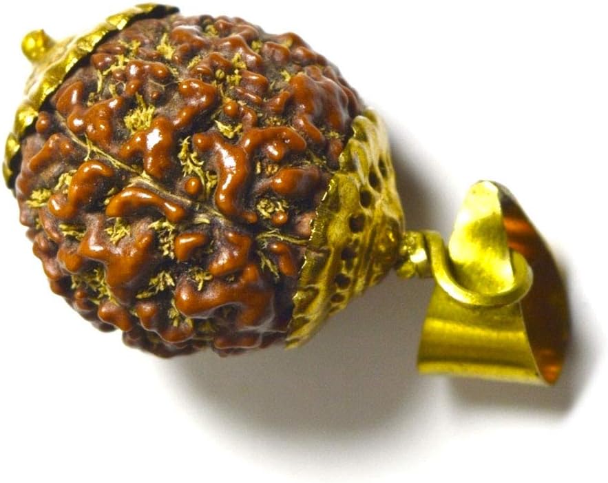 Real 8 Mukhi Eight Face Rudraksha Pendant Prayer Bead Gold Plated Locket for Healing Seed