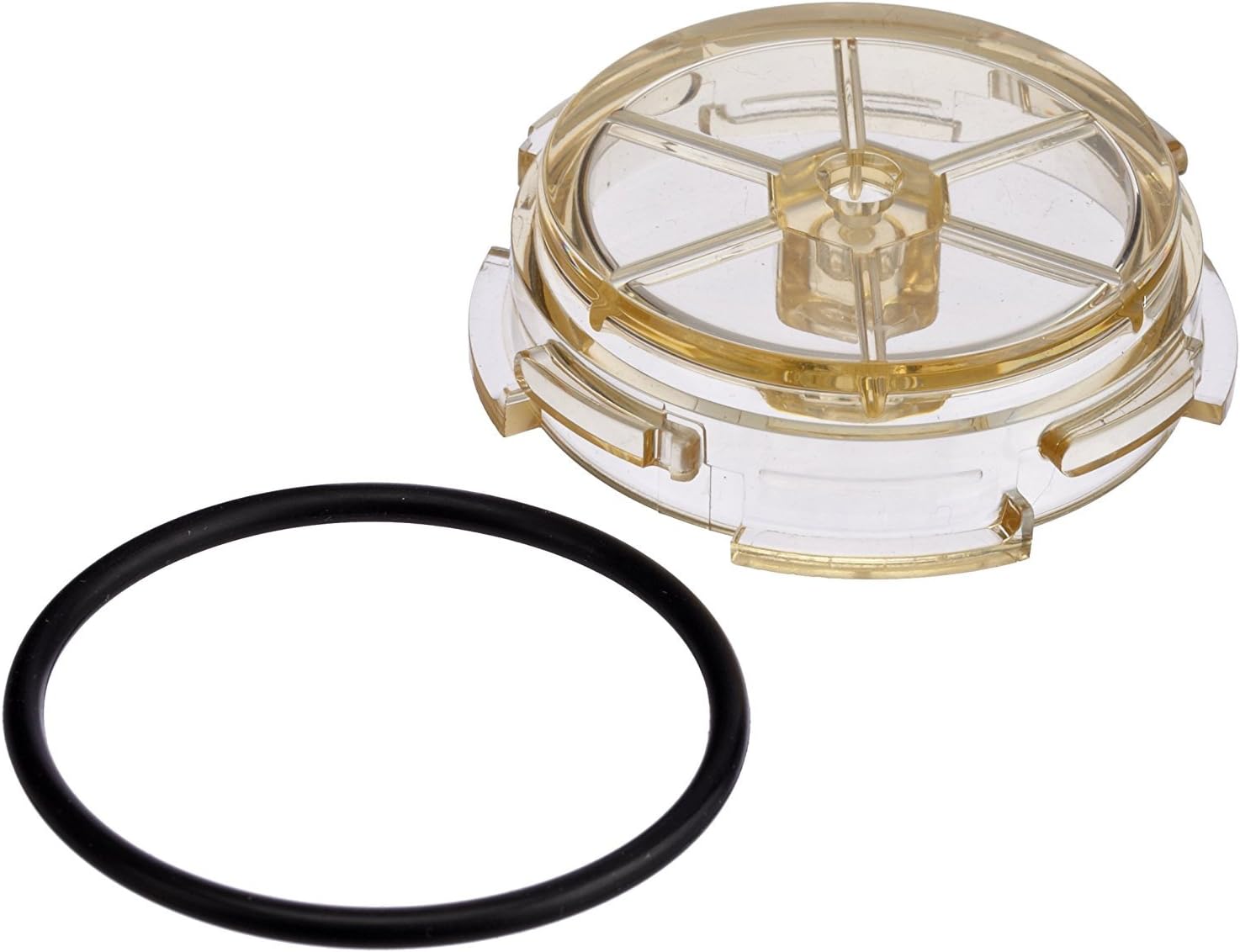 Hayward CAX-20204 Clear and O-Ring Lens Replacement for Hayward Cat 1000 Commercial Automated Controller Monitors